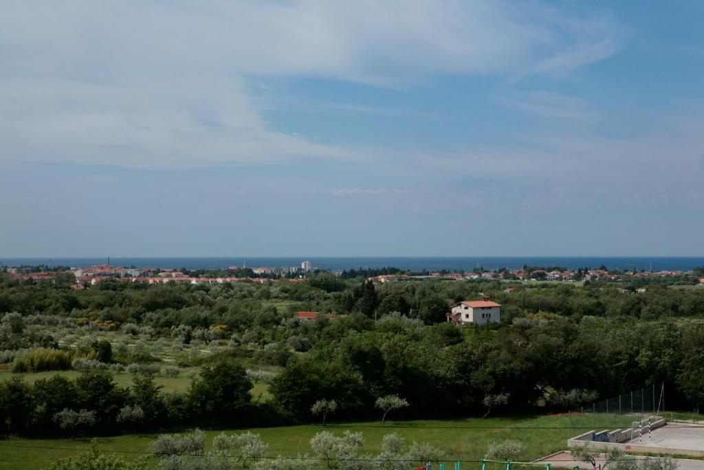 Hotel Arte Casa Murine Pokoj fotografie
